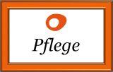 Pflegemail